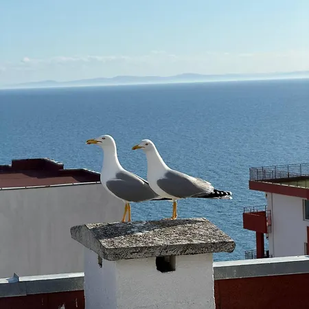 Noks Panorama Sas Sveti Vlas
